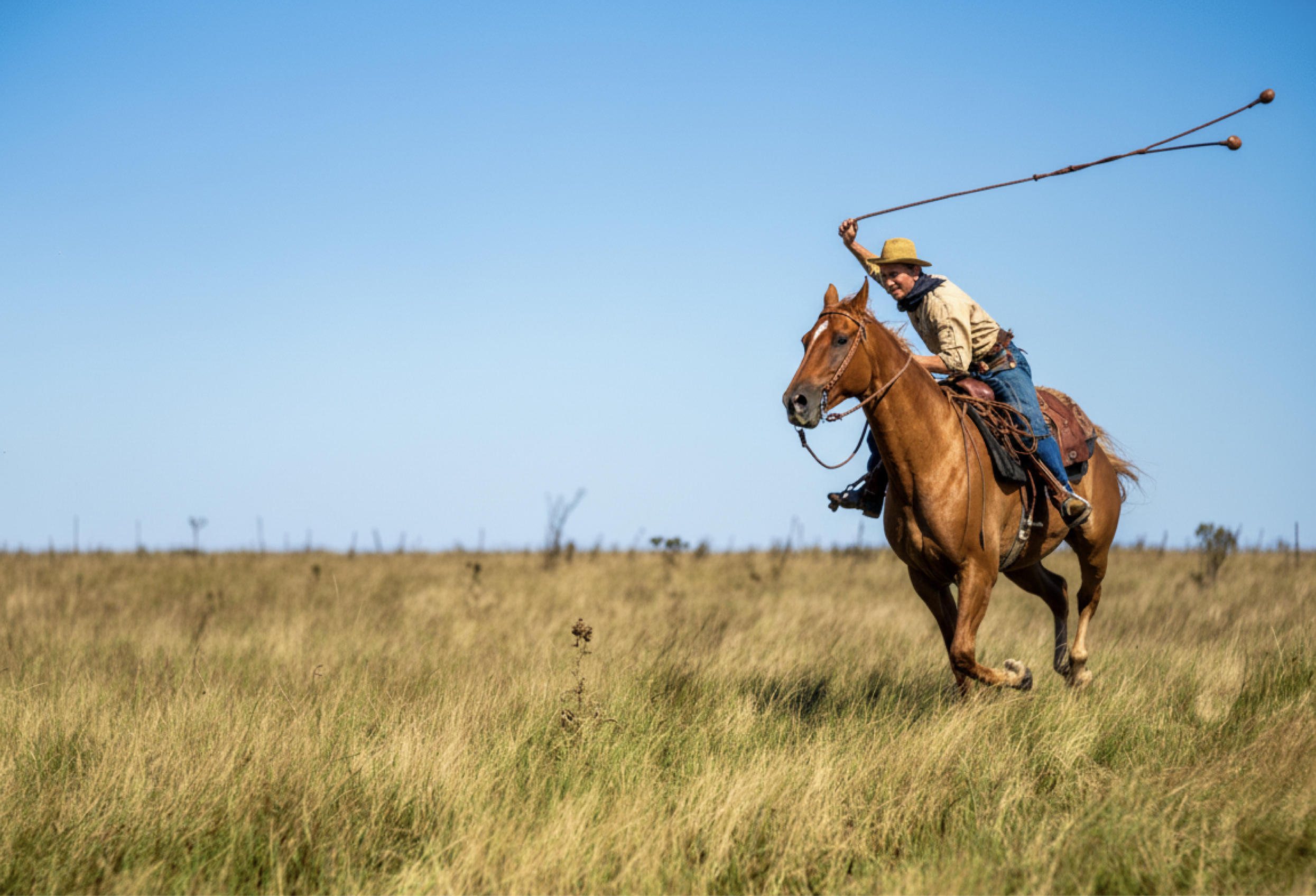 Gaucho on horseback swinging bolas across open grassland.